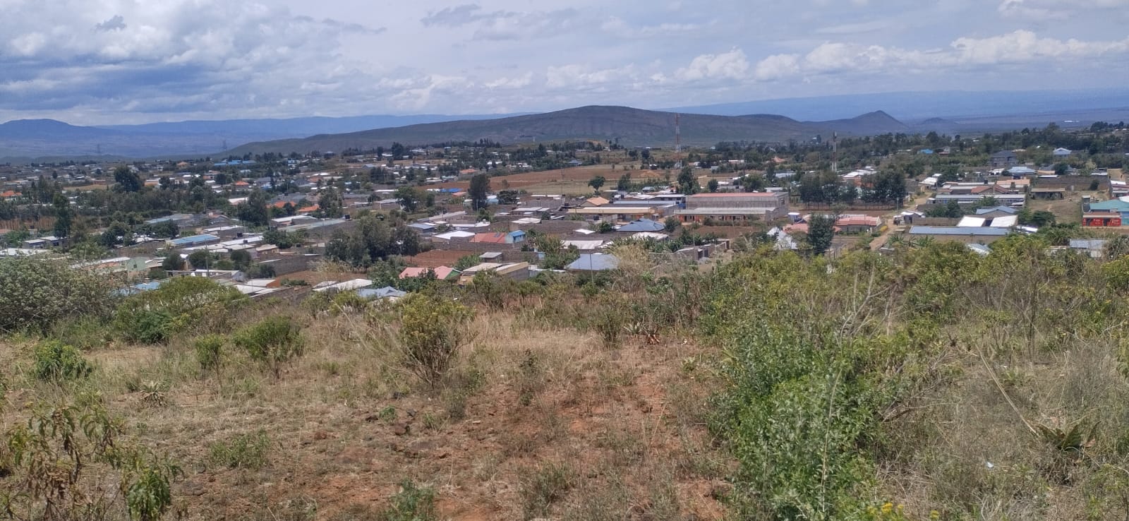 Land in Langa